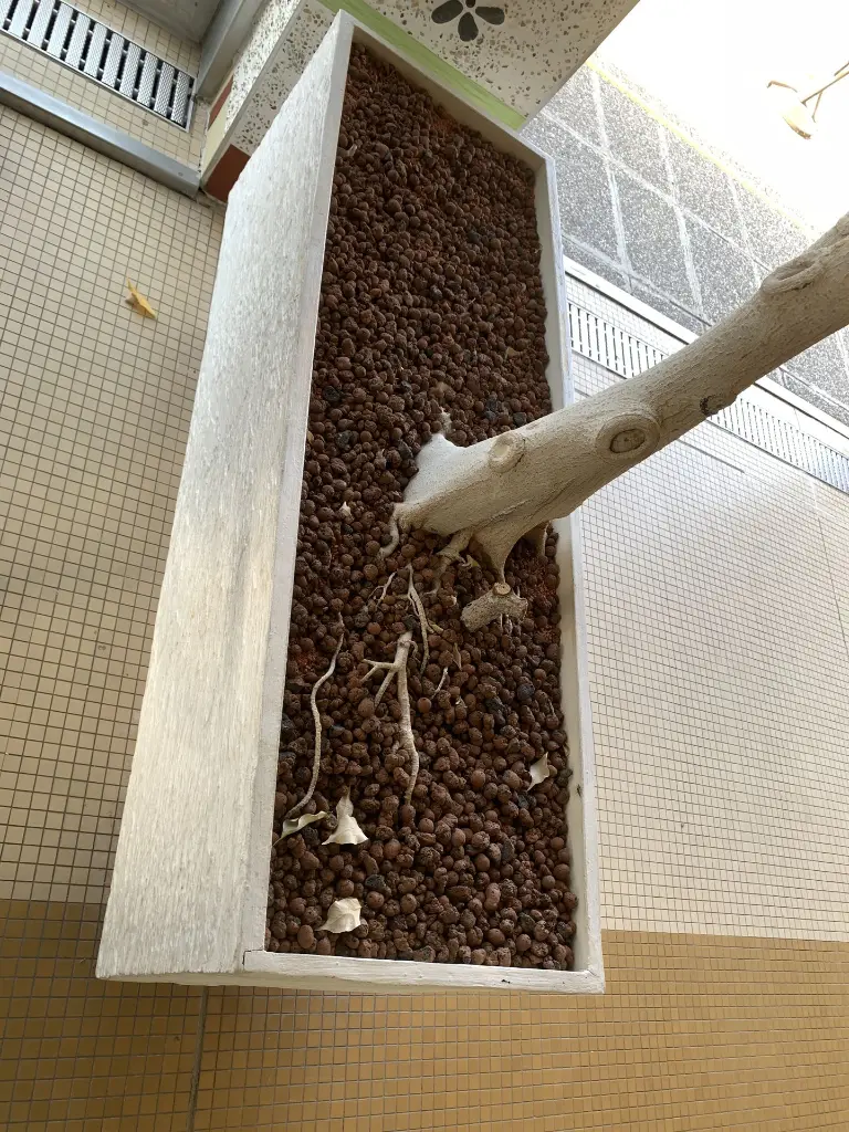 image00036.webp