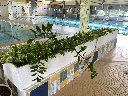 image00030.webp