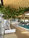 image00211.webp