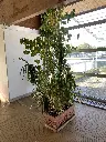 image00231.webp
