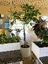 image00117.webp