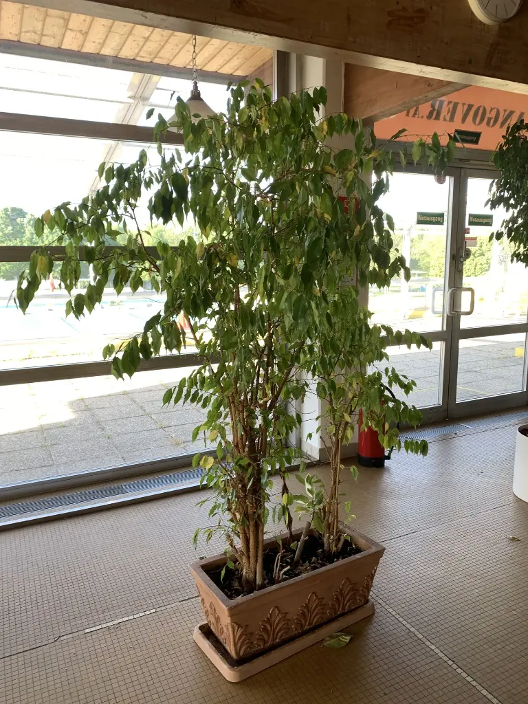 image00230.webp