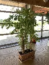 image00230.webp