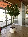 image00229.webp