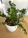 image00205.webp