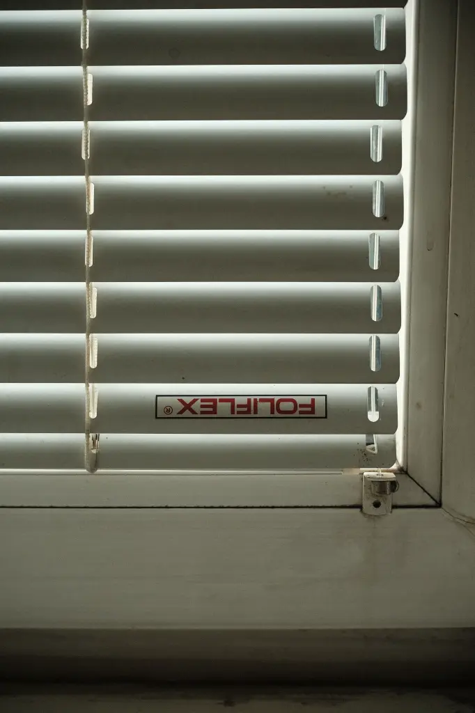Fenster2.webp