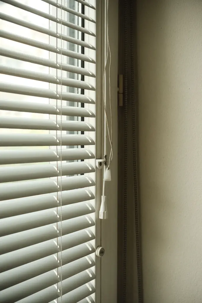 Fenster3.webp