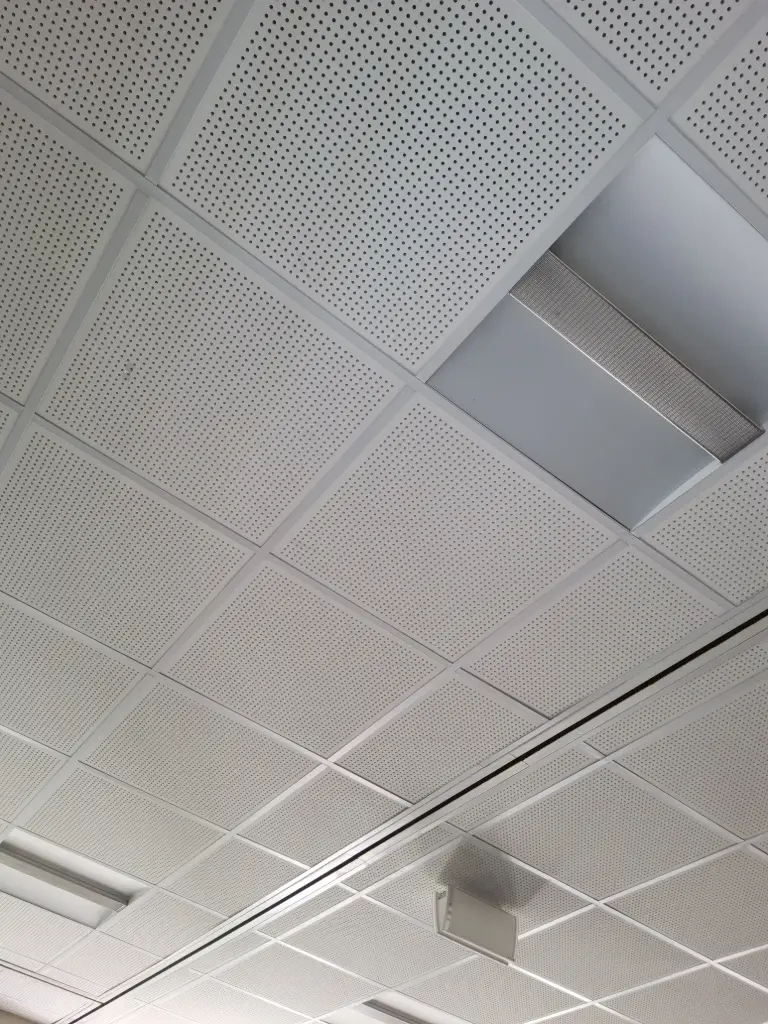 Raster-Akustikdecke Gips (ganze Platten)