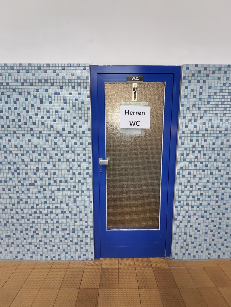Innentüre Alu-Glas blau, DIN L 85cm