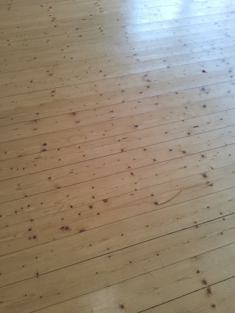 Schiffboden Kiefer