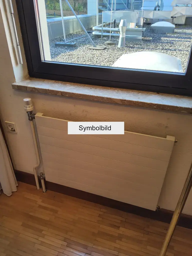 Hygieneheizkörper einfach 160x105