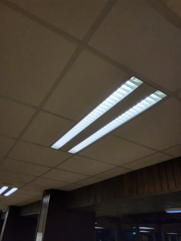 Rasterleuchten doppel