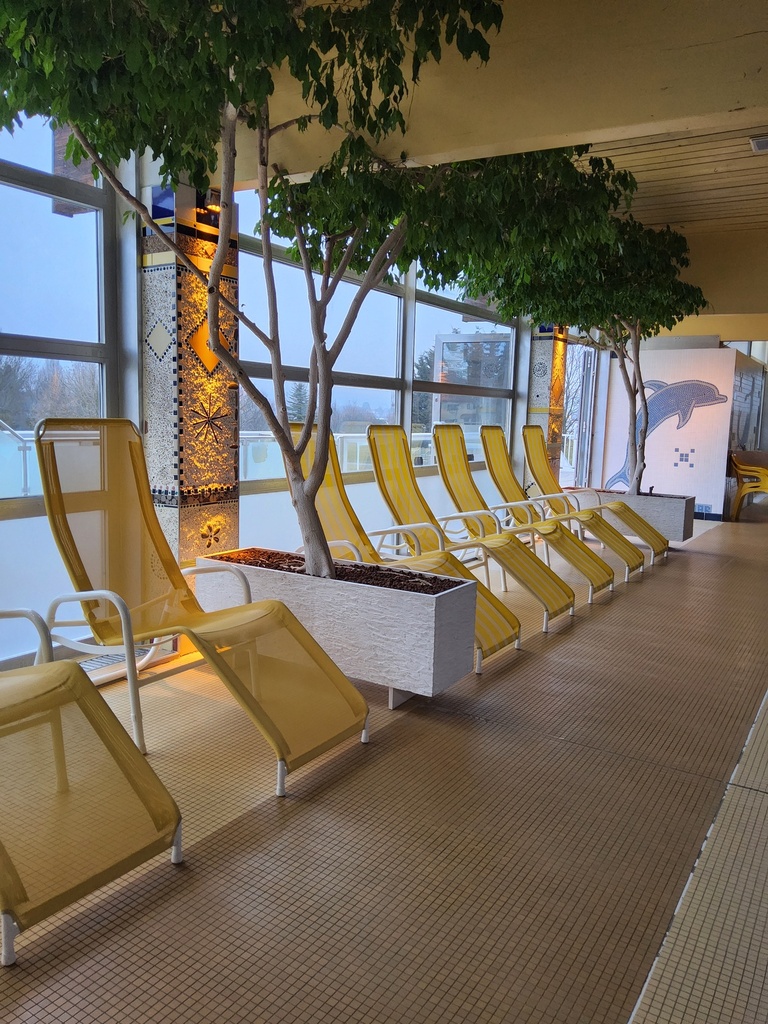 Pflanztrog mit Pflanze