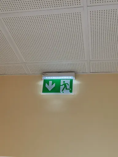 [OMAK] Notausgangsleuchte Deckenmontage, LED flach