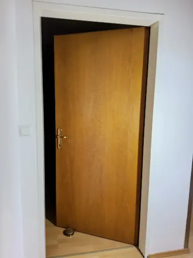 [OMAK] Innentür Holz 90x200, links