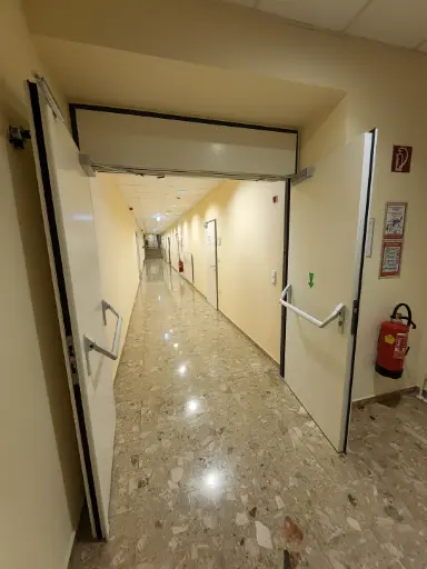 [OMAK] Brandschutztüre doppelflügelig, 170x210, rechts mit Panikfunktion 