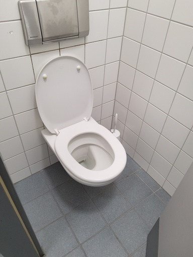 [HAHIE] Hänge WC Laufen